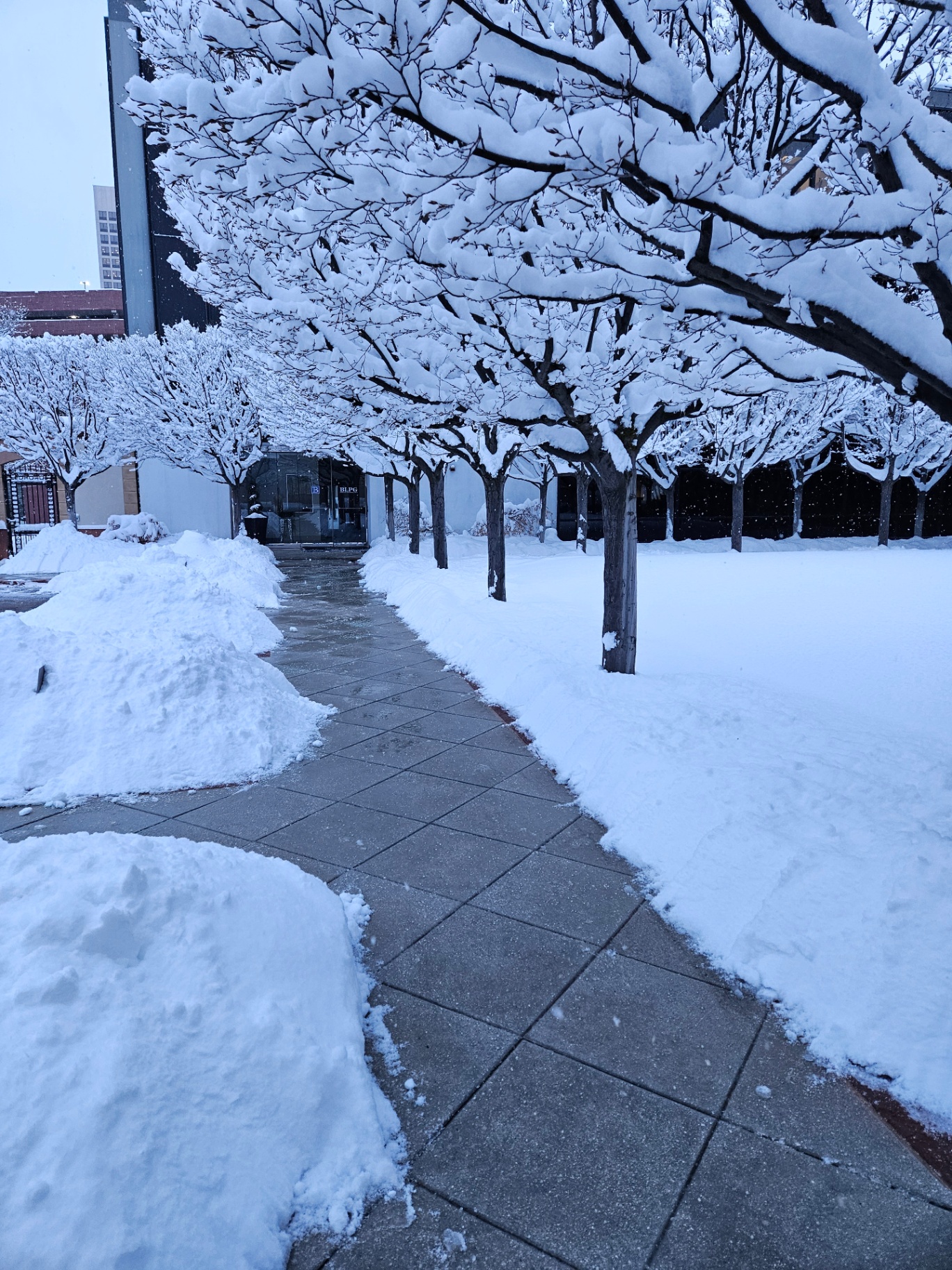 Snow Removal by Scenic View Landscape